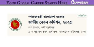 জাতীয় বেতন স্কেল ২০২৫ অনলাইন জরিপ