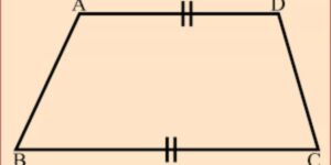 ট্রাপিজিয়াম কাকে বলে